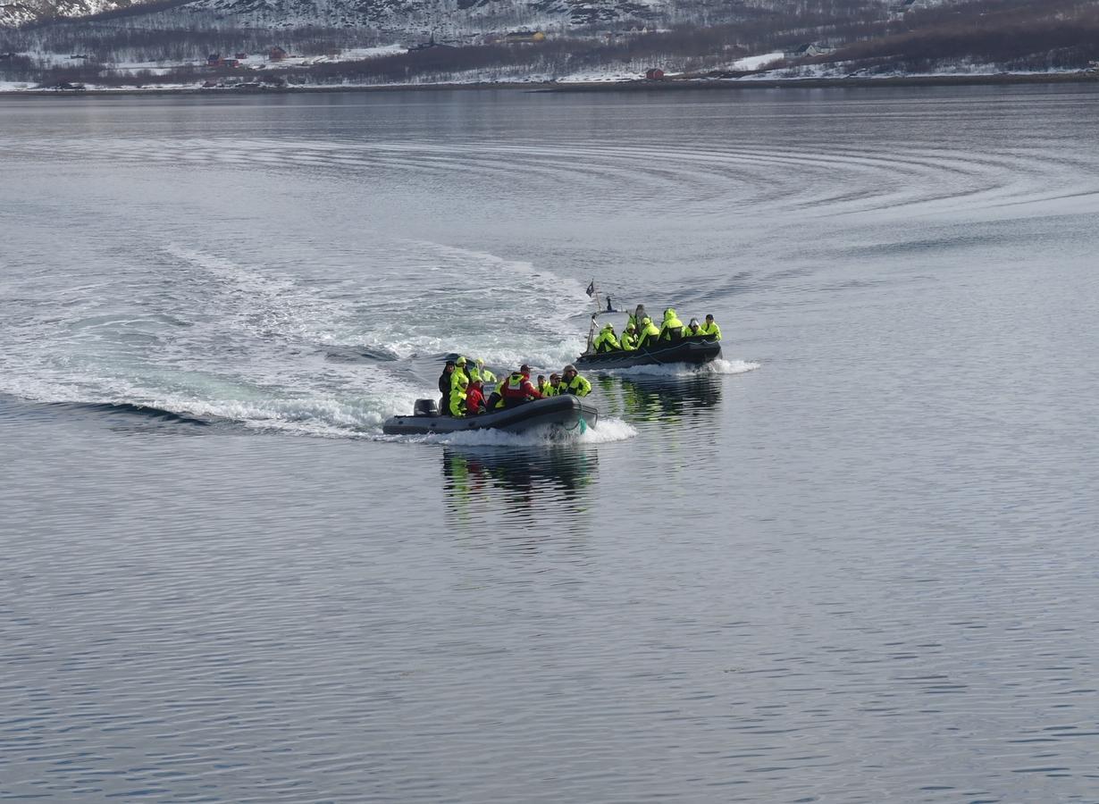 Jarfjord Arctic Aurora Lodge Karpbukt Exteriör bild